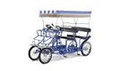 Surrey Rentals